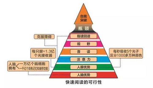 北京大成學(xué)能教育咨詢公司 引領(lǐng)教育咨詢服務(wù)新紀(jì)元